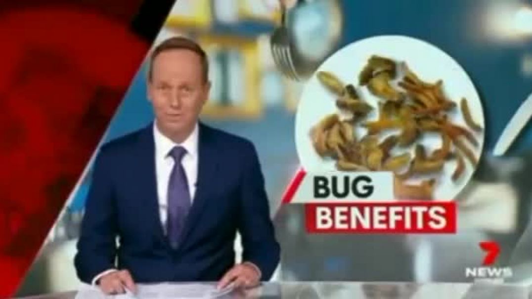 ⁣In Australia the Conditioning for the Sheeple To Eat Bugs Begins