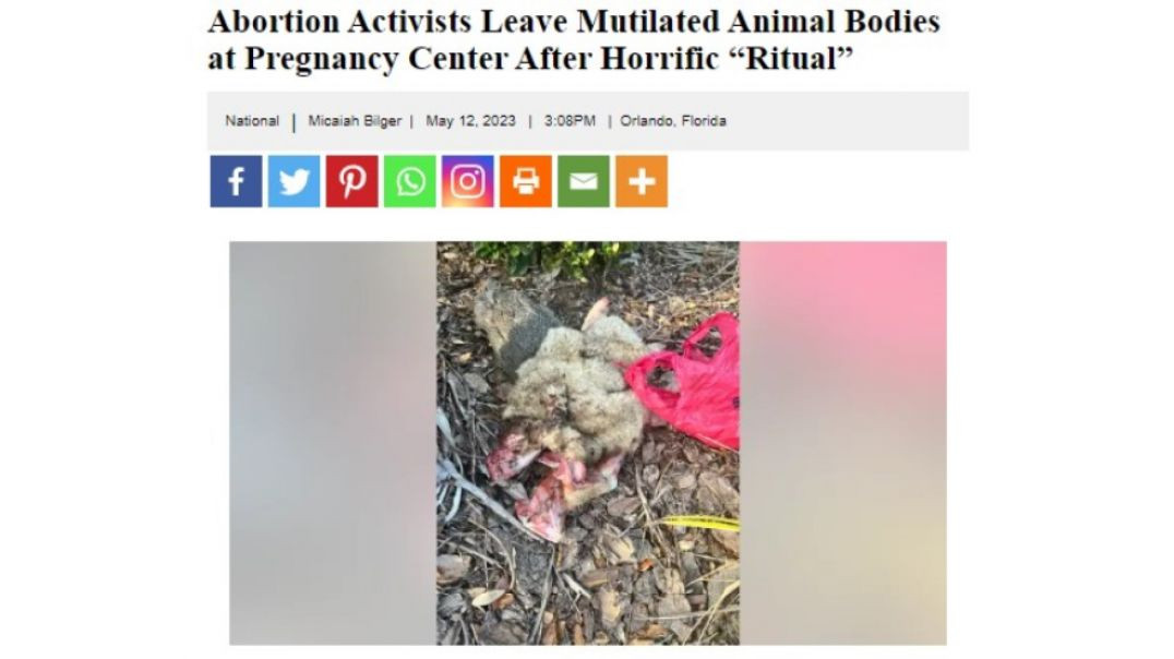 ⁣⁣READ: Abortion Activists Leave Mutilated Animal Bodies at Pregnancy Center After “Satanic Ritual” -
