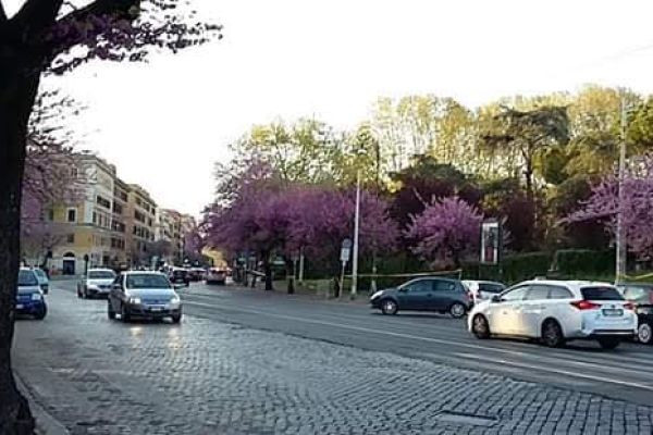 ROMA - Via Marmorata