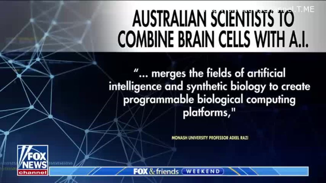 ⁣WEF-Controlled Australia To Merge Human Brain Cells With AI
