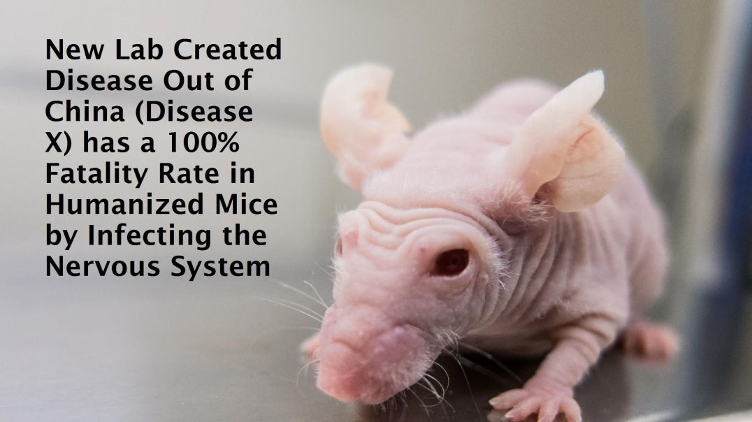 ⁣New Lab Created Disease Out of China (Disease X) has a 100% Fatality Rate in Humanized Mice by Infec