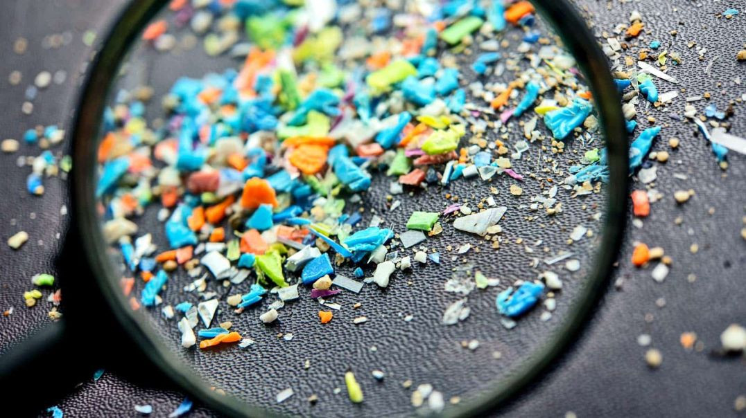 The Microplastic Problem Disrupts our Hormones and Potentially Contributing to the Rise of Transgend