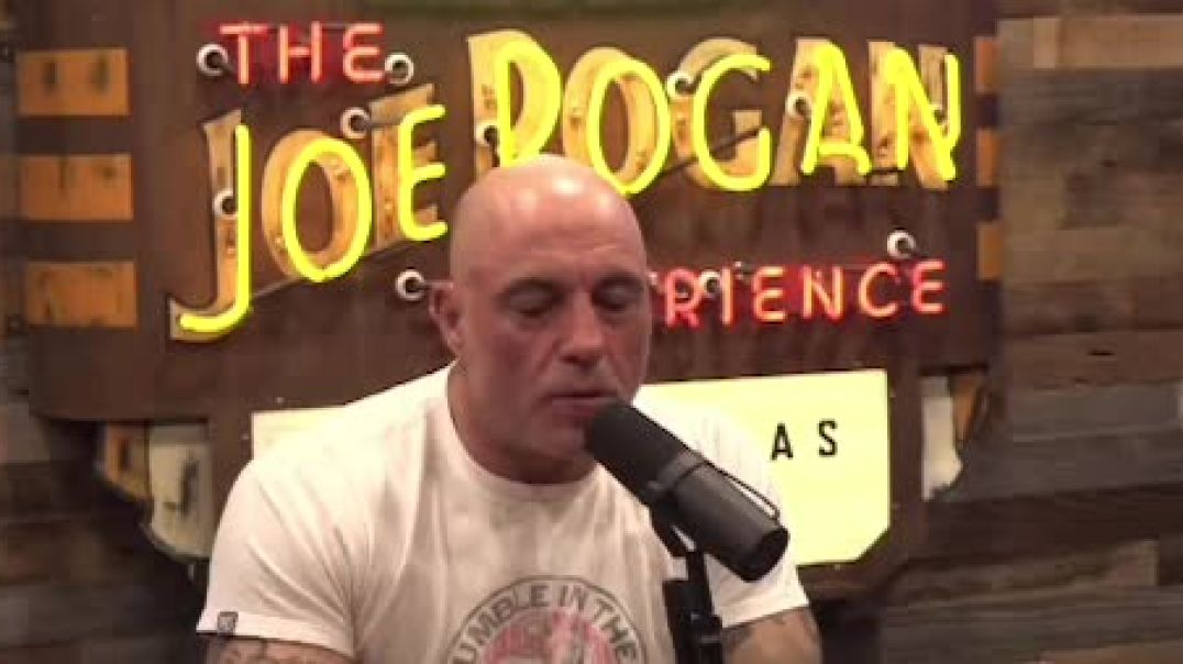 Elon Musk to Joe Rogan: If Trump Doesn’t Win, I Think this is the Last Election