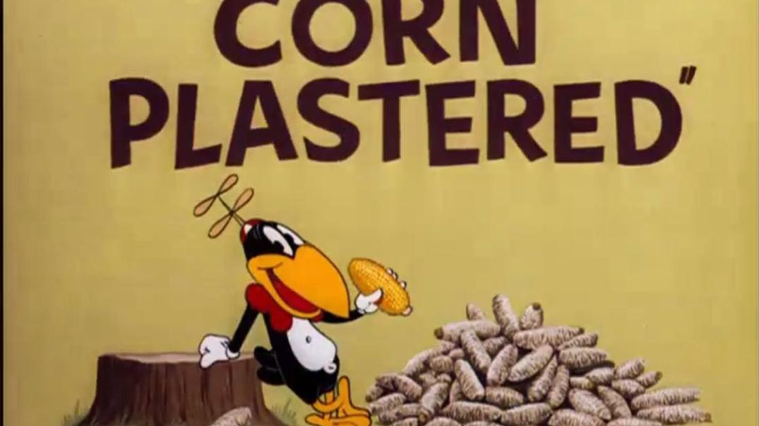 Corn Plastered - Merrie Melodies Cartoon