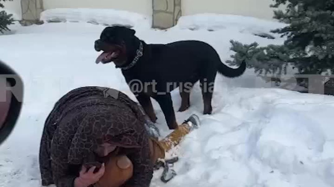 ⁣Mom Shields Her 5yo Kid With Her OWN Body to Protect From Rottweiler Attack