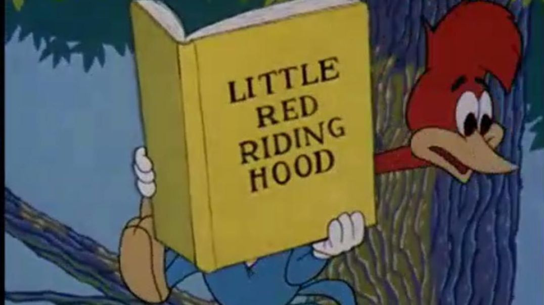 ⁣WOODY WOODPECKER IN WOODY'S RIDING HOOD