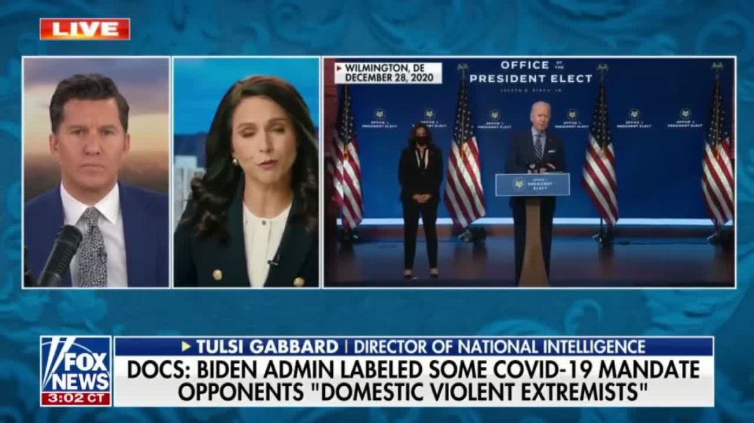 ⁣Declassified Docs Reveal Biden SPIED on Americans for Opposing COVID Rules
