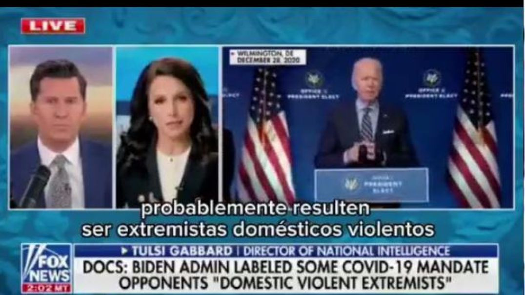 ⁣UNDER THE BIDEN REGIME,I WAS A `DOMESTIC TERRORIST`