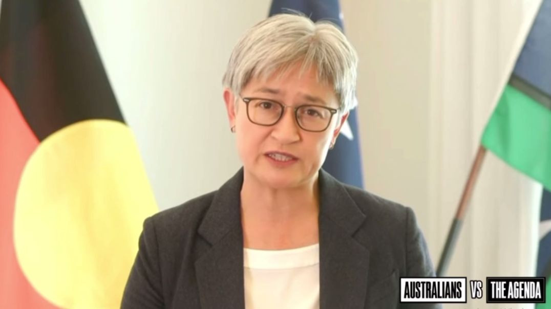 ⁣Foreign Minister Penny Wong has Addressed the WHO on Behalf of PM Anthony Albanese