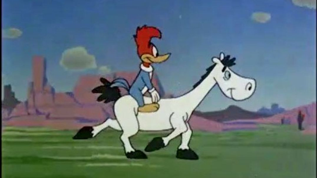 ⁣WOODY WOODPECKER - PHONEY PONY