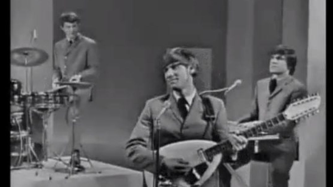 DON`T LET ME BE MISUNDERSTOOD BY THE ANIMALS AND...