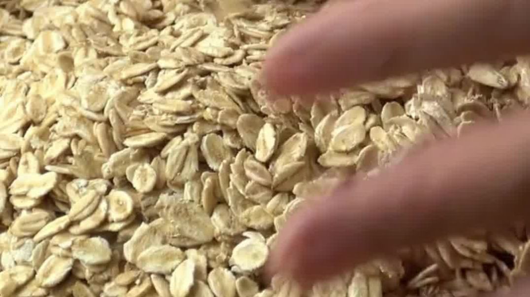 ⁣Oats Milk - Food Research Lab