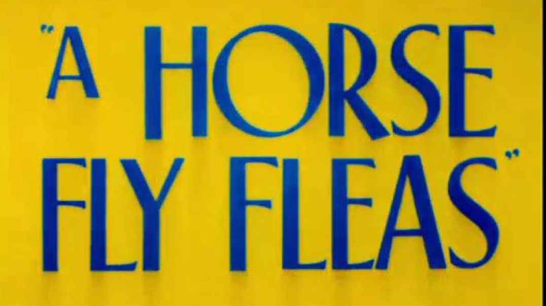 Classic Looney Tunes - A Horse Fly Fleas