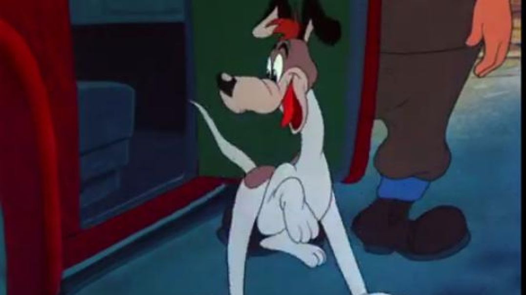 ⁣CLASSIC CARTOONS - Doggone Tired (1949)