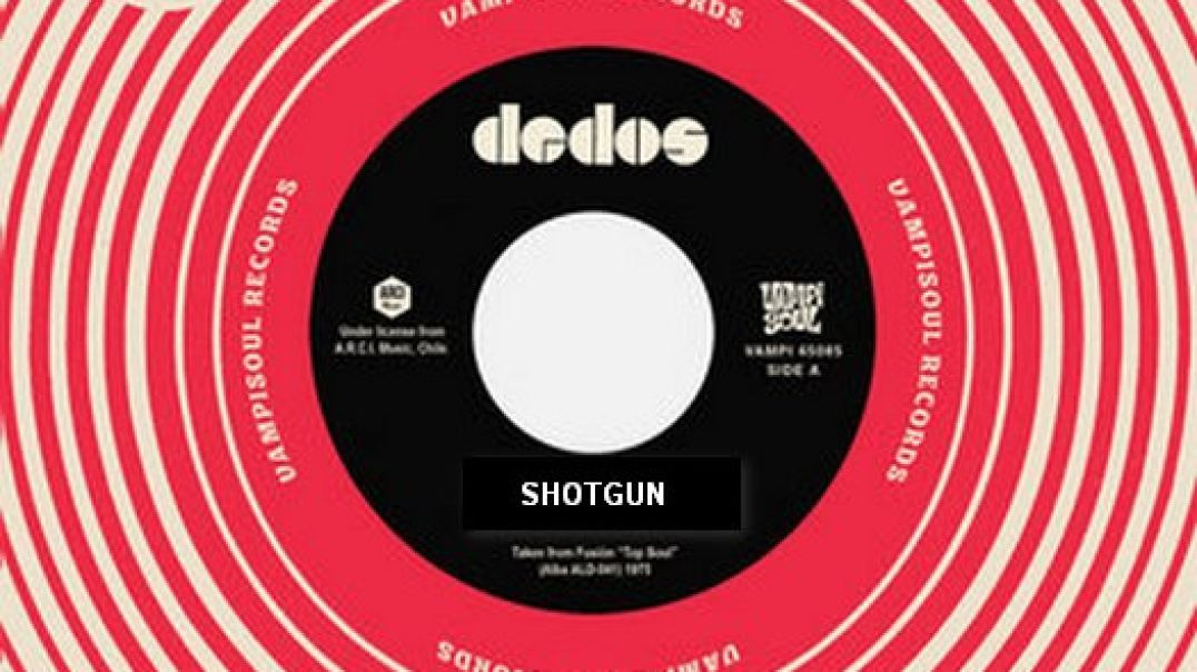 ⁣SHOTGUN FROM VAMPISOUL RECORDS