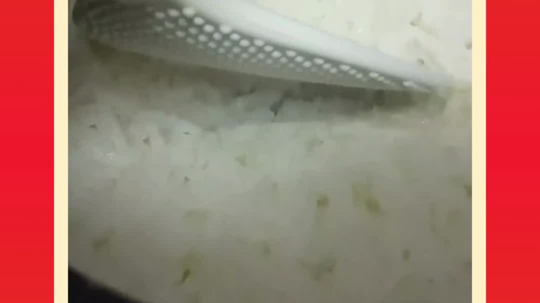 Fried Rice Premix quick and authentic Flavour