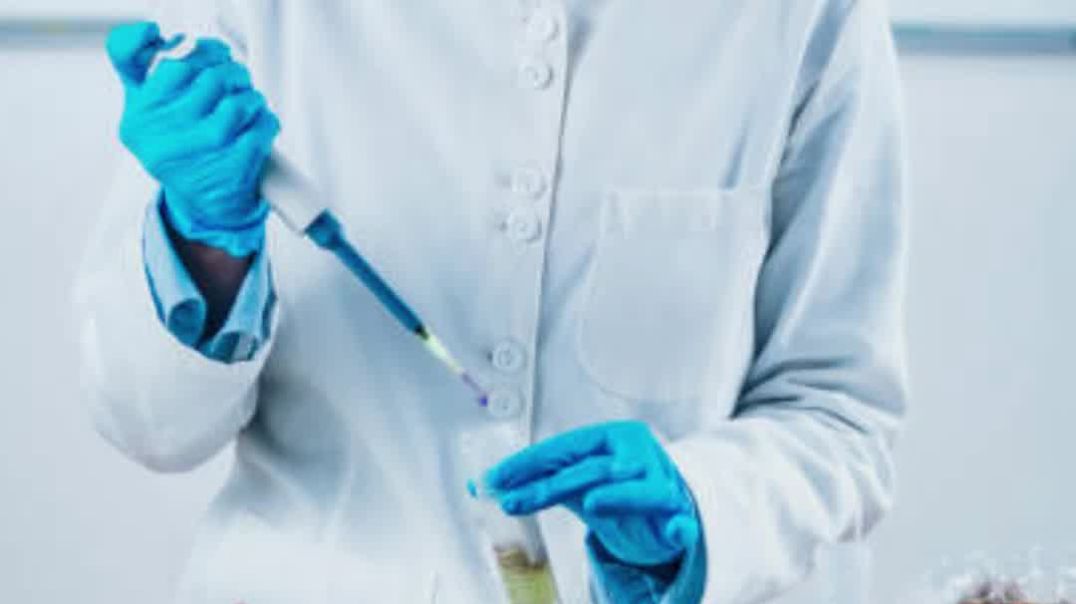 Dog Freeze Dried Food Development | Food Research Lab
