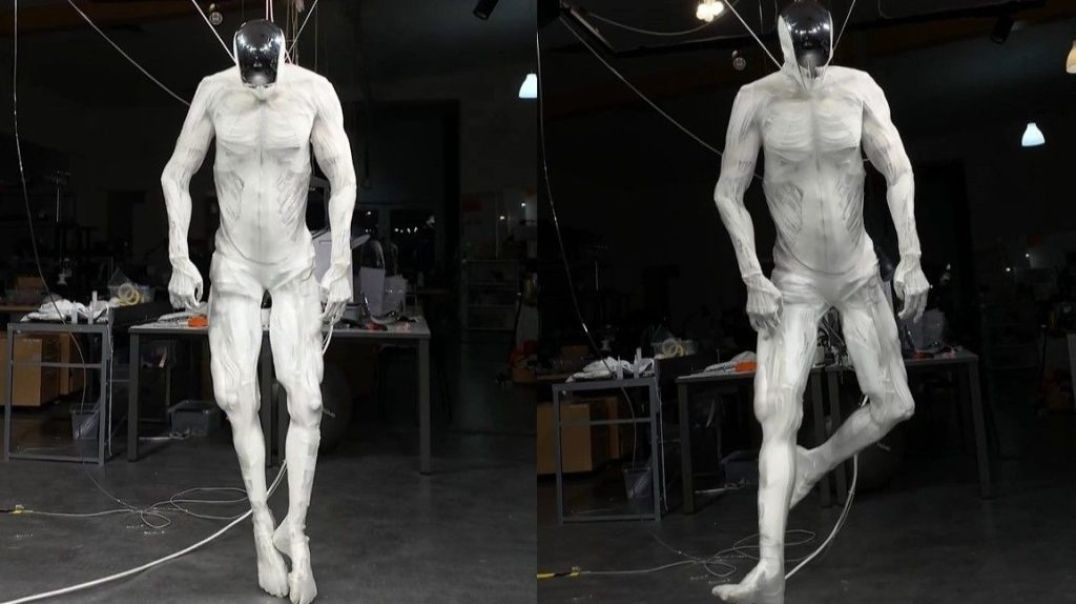 Clone Robot With 206 Synthetic Bones