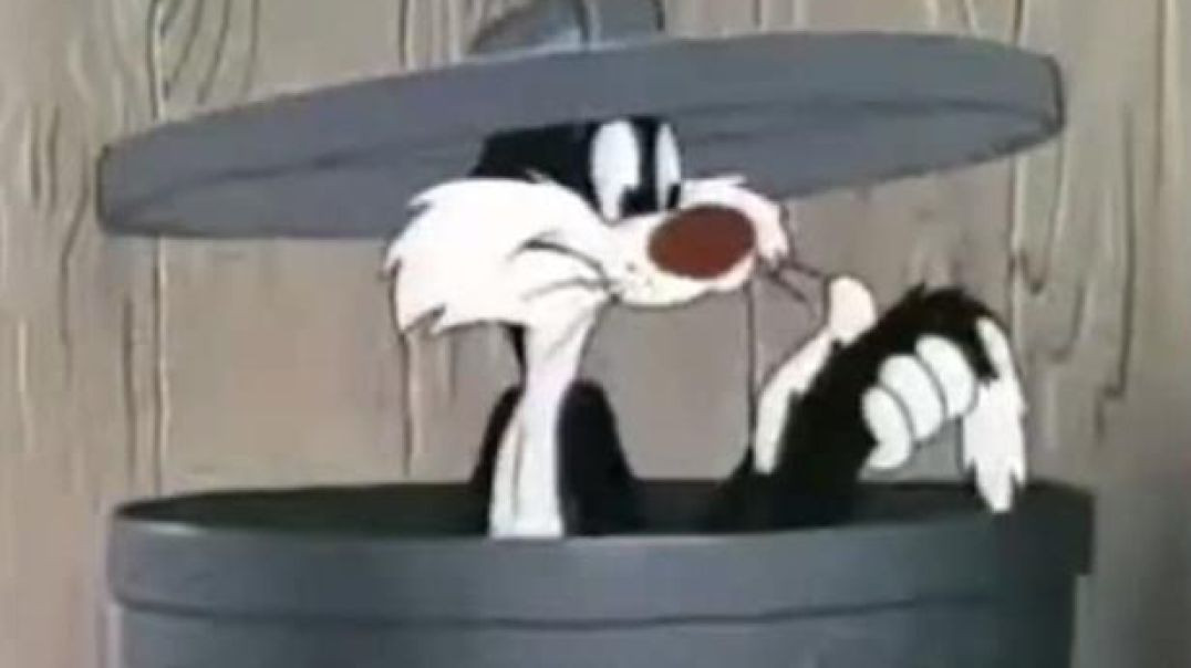 SYLVESTER THE CAT AND THE PANTHER ESCAPEE