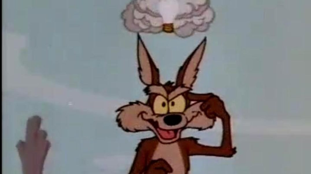 ⁣CLASSIC CARTOONS - Road Runner and Wile E Coyote