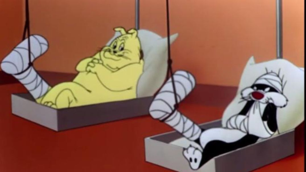 CLASSIC LOONEY TUNES - TWEETY BIRD AND SYLVESTER THE CAT