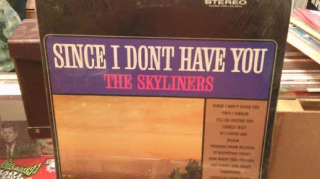 THE SKYLINERS-SINCE I DON`T HAVE YOU