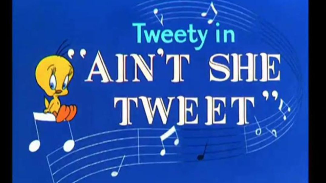 ⁣SYLVESTER AND TWEETY - AIN`T SHE TWEET