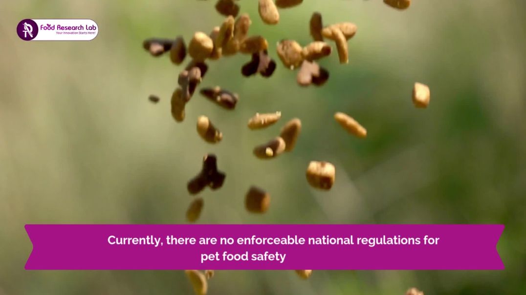 ⁣Animal Food Product Development Service | Food Research Lab