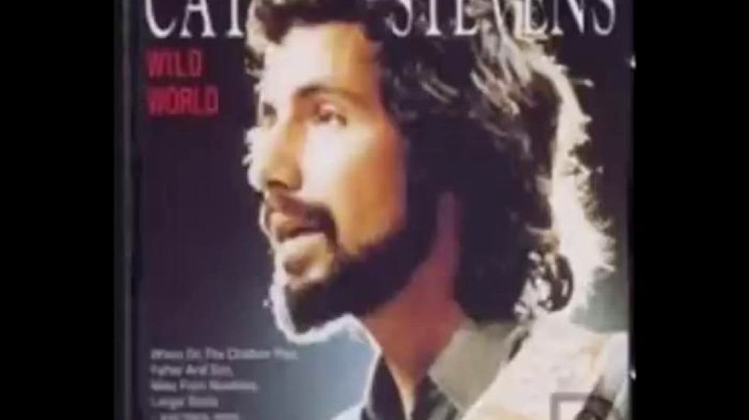 ⁣Cat Stevens - Wild World