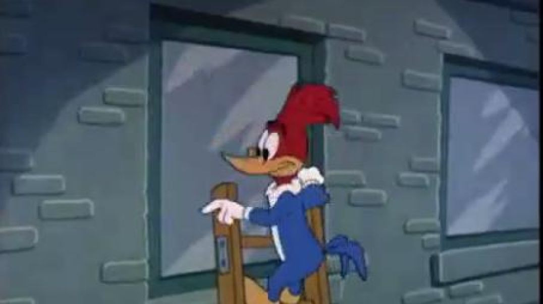 ⁣WOODY WOODPECKER IN BUSMAN HOLIDAY