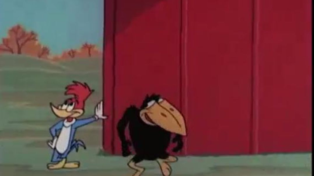 ⁣WOODY WOODPECKER - GROWING PAINS