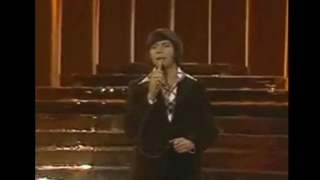 BOBBY GOLDSBORO - HONEY