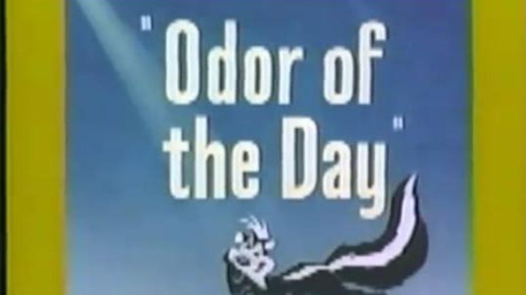 Pepe Le Pew - Odor Of The Day