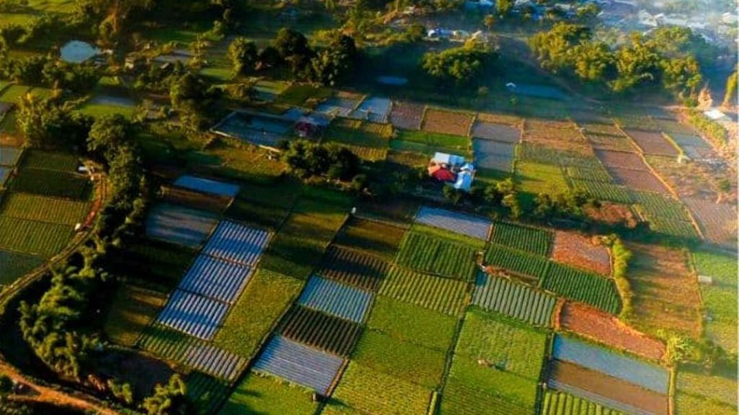 ESCAPE THE BANKS & BUILD YOUR FREEDOM!