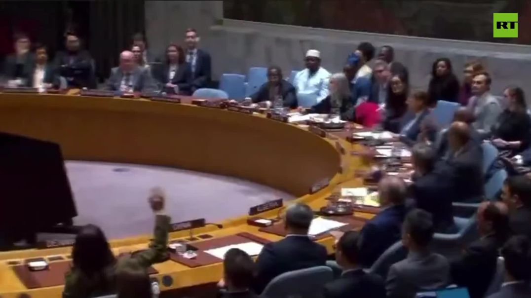 ⁣Gaza Resolution PASSED by UN Security Council. Resolution Gives Green Light to Trump’s Reconstructio