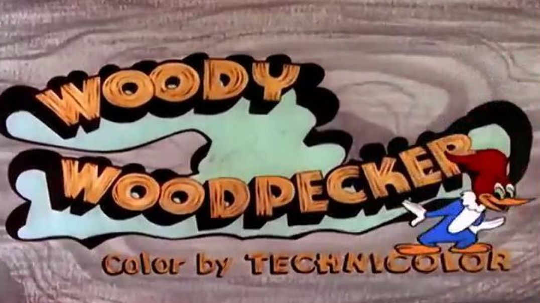 WOODY WOODPECKER-FODDER AND SON