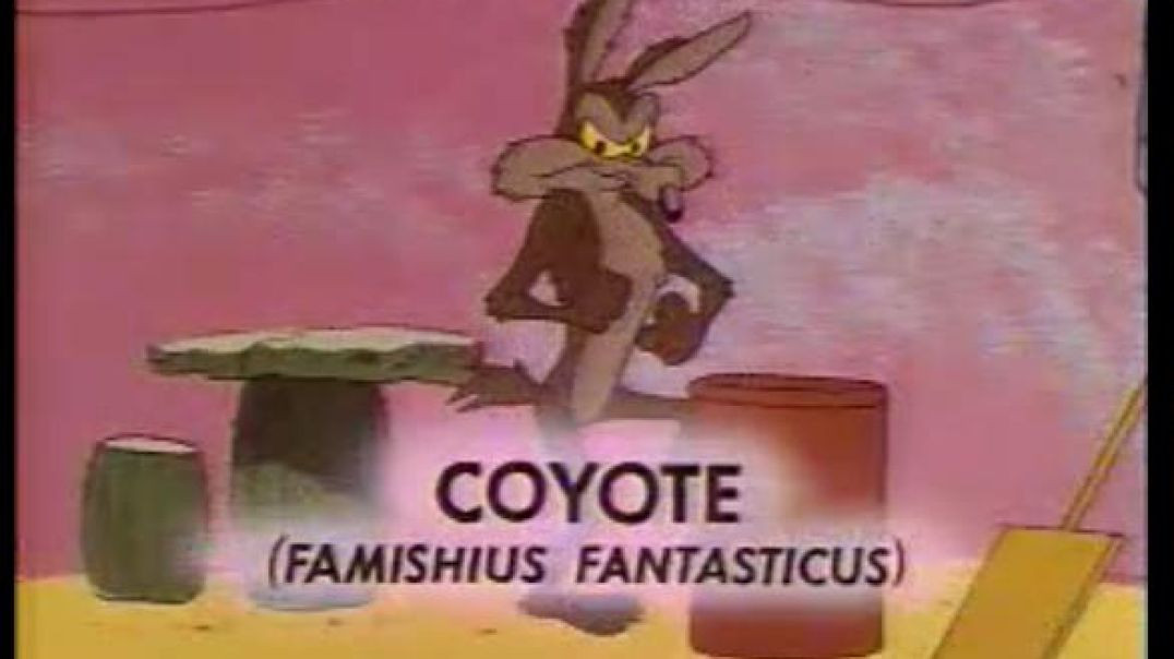 ⁣Road Runner and Wile E Coyote - There They Go-Go-Go!