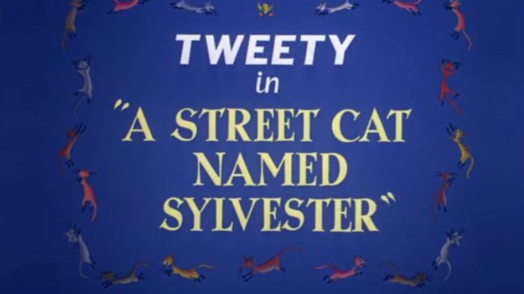 ⁣A Street Cat Named Sylvester - Looney Tunes Cartoon
