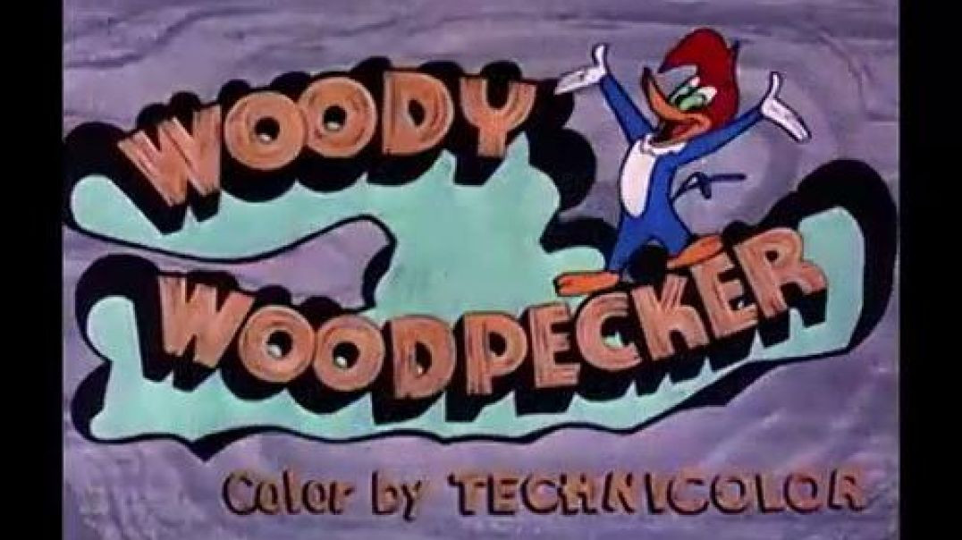 WOODY WOODPECKER - SIUX ME