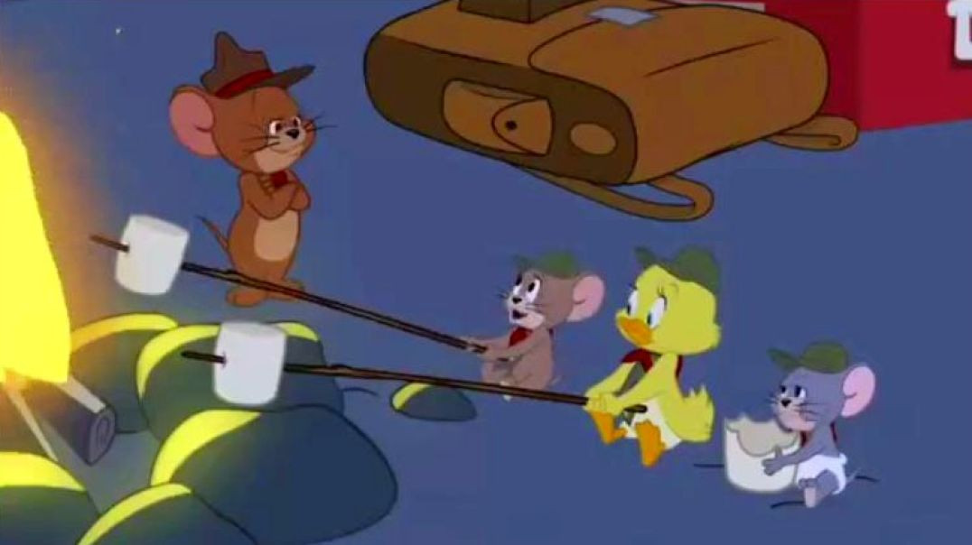 TOM AND JERRY - SCOUTS