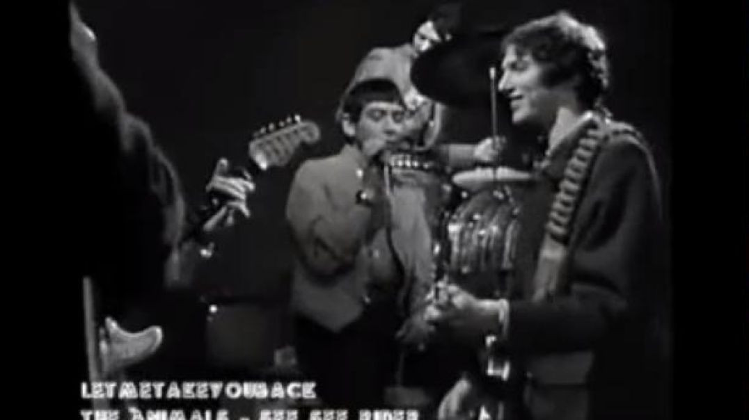 THE ANIMALS - SEE SEE RIDER