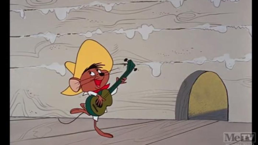 DAFFY DUCK AND SPEEDY GONZALES-Go Away Stowaway