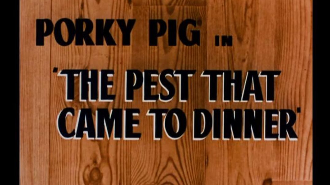 PORKY - The pest that came to dinner