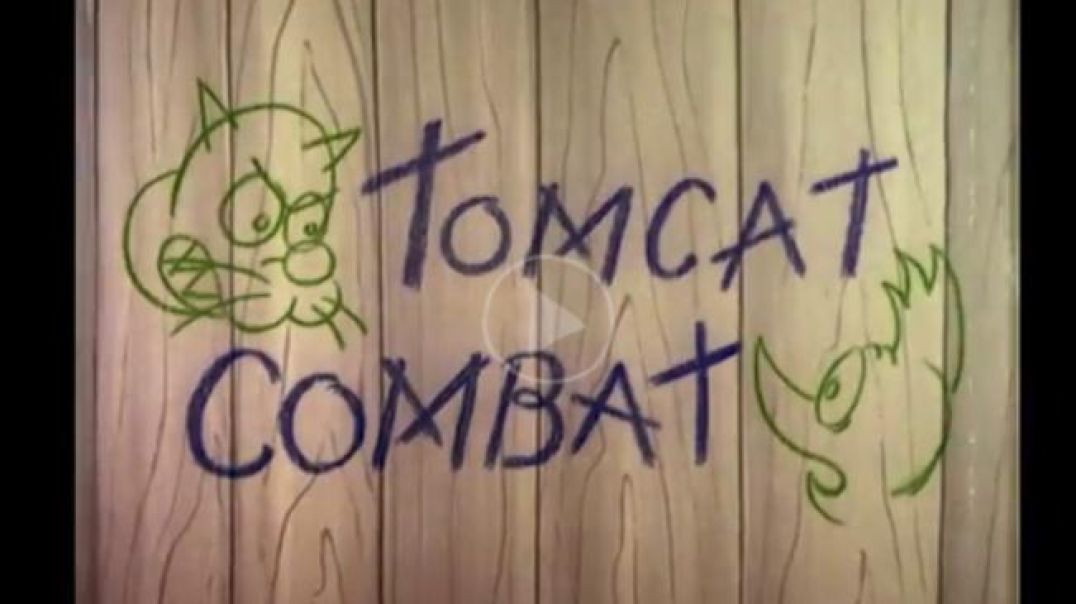 Woody Woodpecker -Tomcat Combat