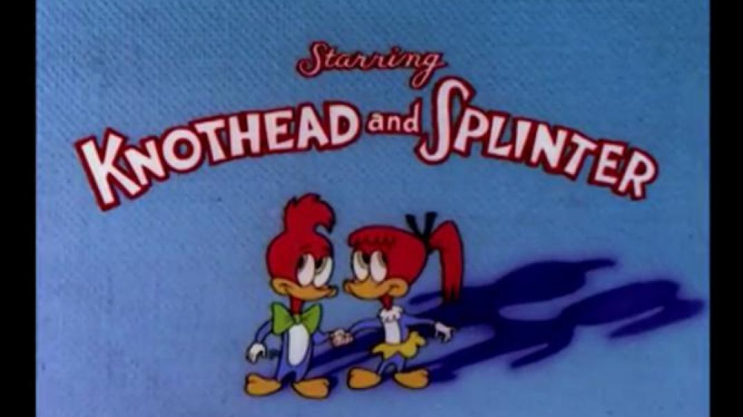 Little Red Riding Woody - Woody Woodpecker`s Babies