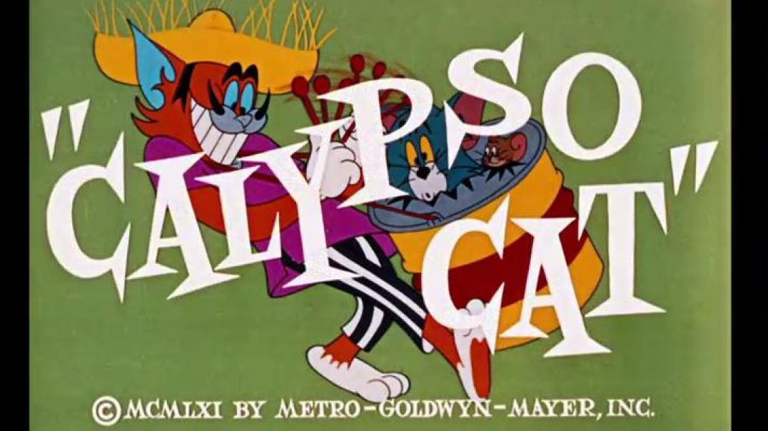 ⁣TOM AND JERRY - Calypso cat