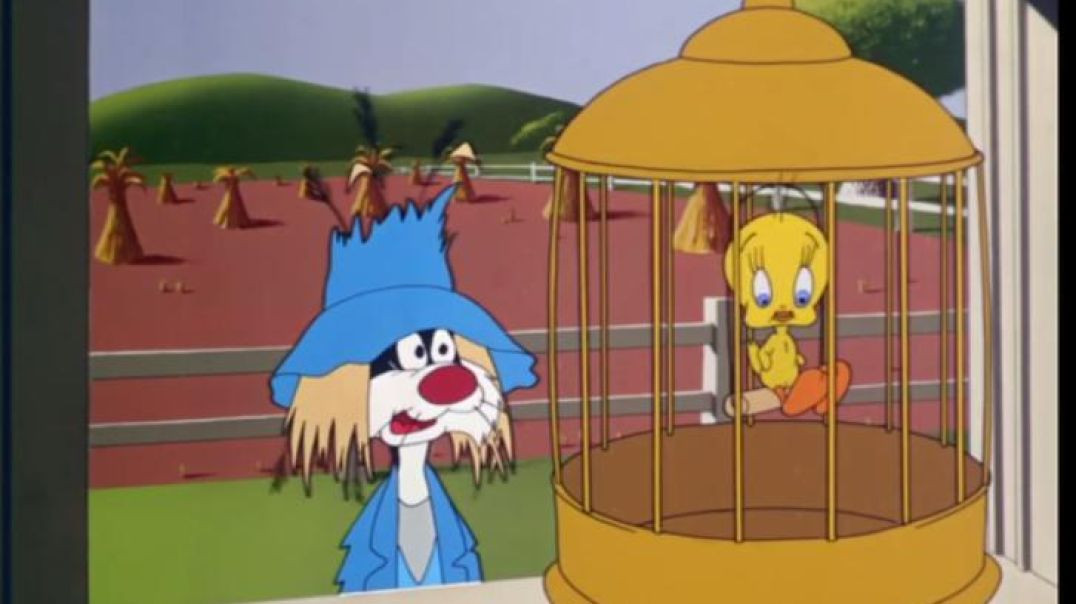SYLVESTER AND TWEETY BIRD - Fowl weather