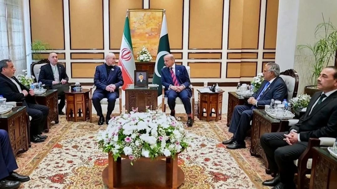 Iranian Delegation Forced into Last-minute Aircraft Switch after Talks — Prof Marandi