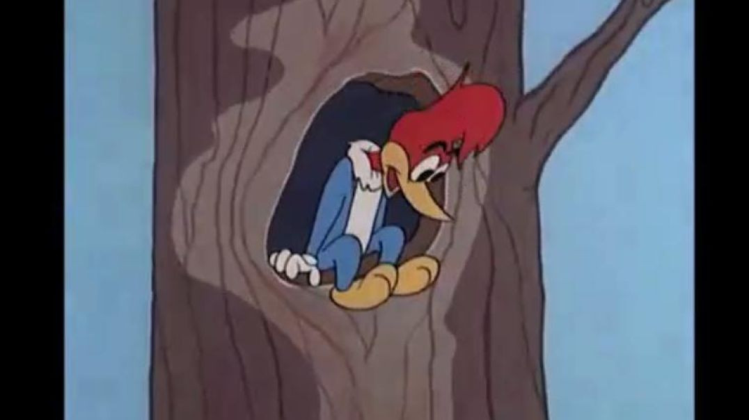 Woody Woodpecker - Crowin` Pains