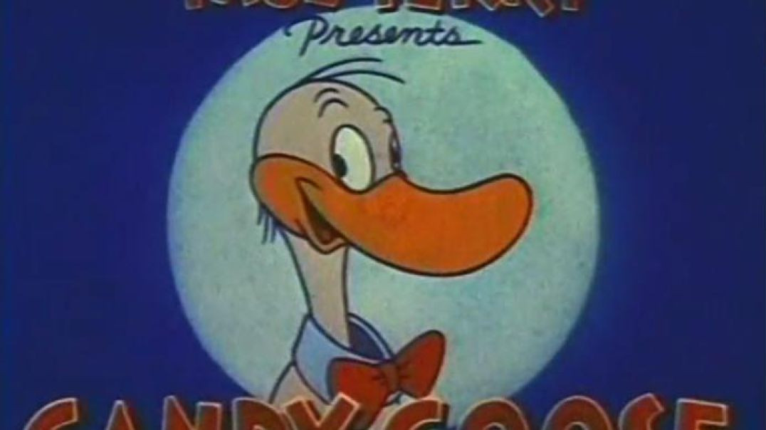 GANDY GOOSE - WIDE OPEN SPACES